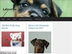 Sites similar to labrottie.com