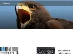 Sites similar to labuse.net