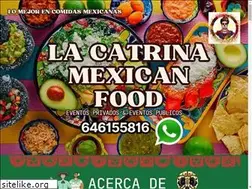 Sites similar to lacatrinamexicanfood.com