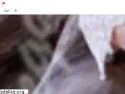 Sites similar to lacelegance.com