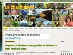 Sites similar to lachachipedia.blogspot.com