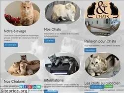 Sites similar to lachatterie.be