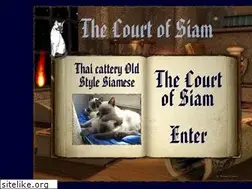 Sites similar to lacortedelsiam.it