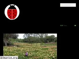 Sites similar to ladybugdaylilies.com