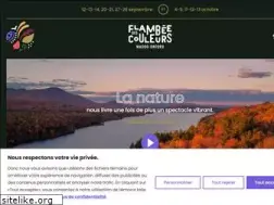 Sites similar to laflambeedescouleurs.com