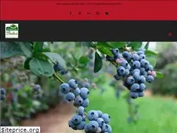 Sites similar to lafruiteraie.com