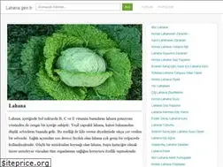 Sites similar to lahana.gen.tr