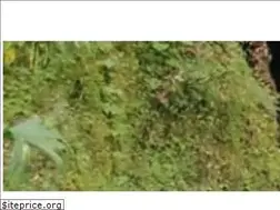 Sites similar to lahistoria.ec
