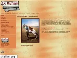 Sites similar to lahuffman.com