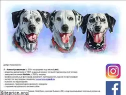 Sites similar to laini.ru