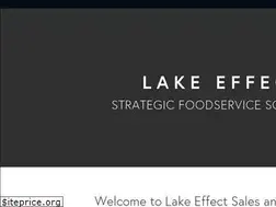 Sites similar to lakeeffectfs.com