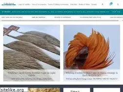 Sites similar to lakelandflytying.com
