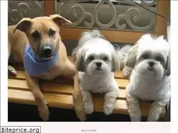 Sites similar to lakesidedoggrooming.com