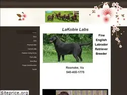 Sites similar to lakobielabs.com