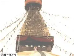 Sites similar to lama-john.de