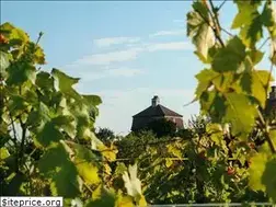Sites similar to lamaisoncarree.ch