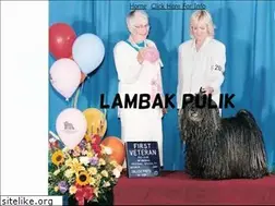 Sites similar to lambakpulik.com