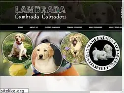 Sites similar to lambrada.co.za