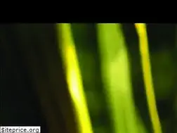 Sites similar to lamexicanacantina.com