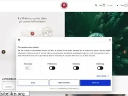 Sites similar to lamolisana.it