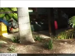 Sites similar to landscapebyak.com.au