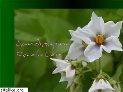Sites similar to landscapingrevolution.com
