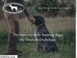 Sites similar to landstrassendrahthaars.com