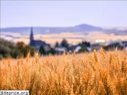 Sites similar to langelus.net