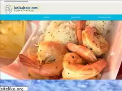 Sites similar to lanikaitour.com