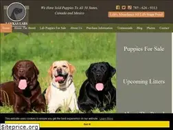 Sites similar to lankaslabs.com