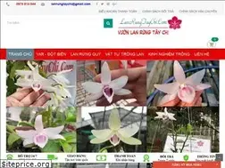 Sites similar to lanrungtaychi.com