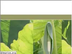 Sites similar to lapalma-botanik.info