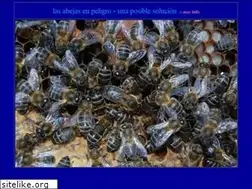 Sites similar to lapalmamiel.com