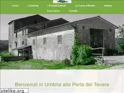 Sites similar to laperladeltevere.com