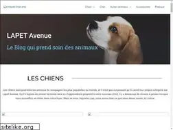 Sites similar to lapetavenue.com