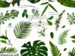 Sites similar to laplayitabacalar.com