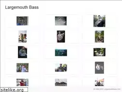 Sites similar to largemouthbass.com