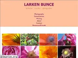 Sites similar to larkenbunce.com