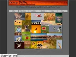 Sites similar to larryditto.com