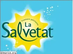 Sites similar to lasalvetat.fr