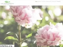 Sites similar to lasbandurrias.com