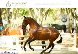 Sites similar to lasmorerias.com
