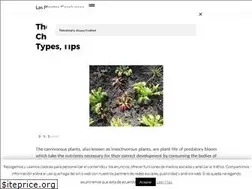 Sites similar to lasplantascarnivoras.info