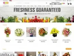 Sites similar to lassanaflora.com