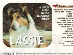 Sites similar to lassieweb.org