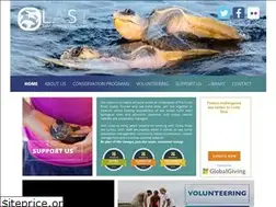 Sites similar to latinamericanseaturtles.com