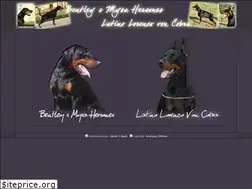 Sites similar to latino-von-cobra.de