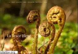 Sites similar to latracebleue.ch