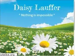 Sites similar to lauffer.nl