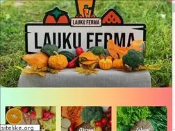 Sites similar to laukuferma.lv
